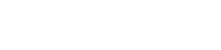 Leadership programmes